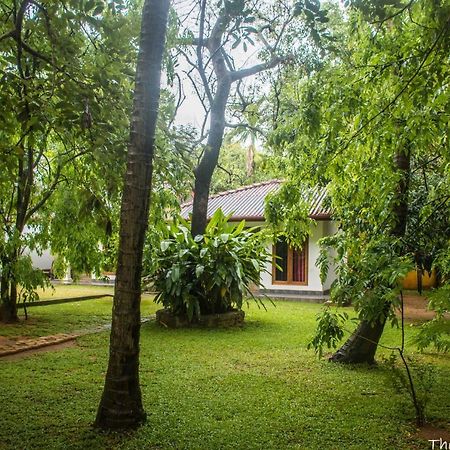 The Calm Cabana Hotell Dambulla Eksteriør bilde