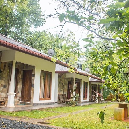 The Calm Cabana Dambulla Eksteriør bilde