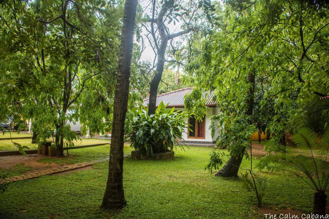 The Calm Cabana Hotell Dambulla Eksteriør bilde