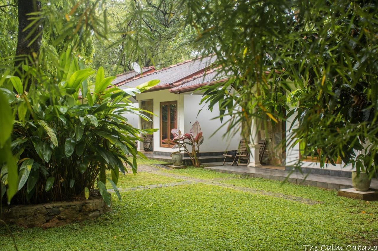 The Calm Cabana Hotell Dambulla Eksteriør bilde