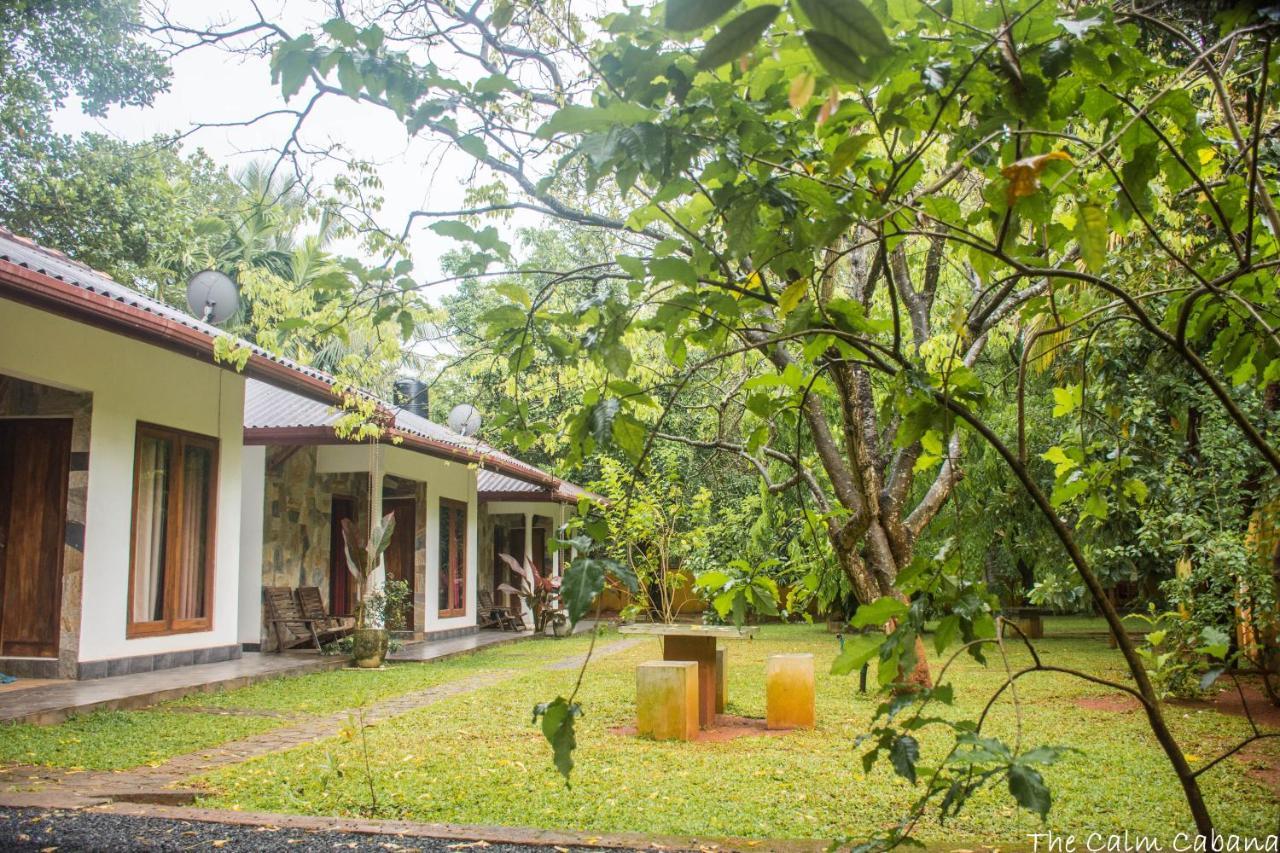 The Calm Cabana Hotell Dambulla Eksteriør bilde