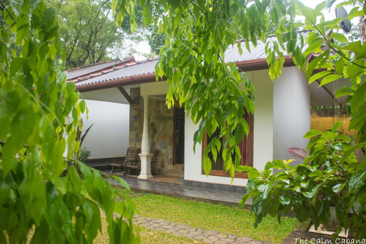 The Calm Cabana Hotell Dambulla Eksteriør bilde