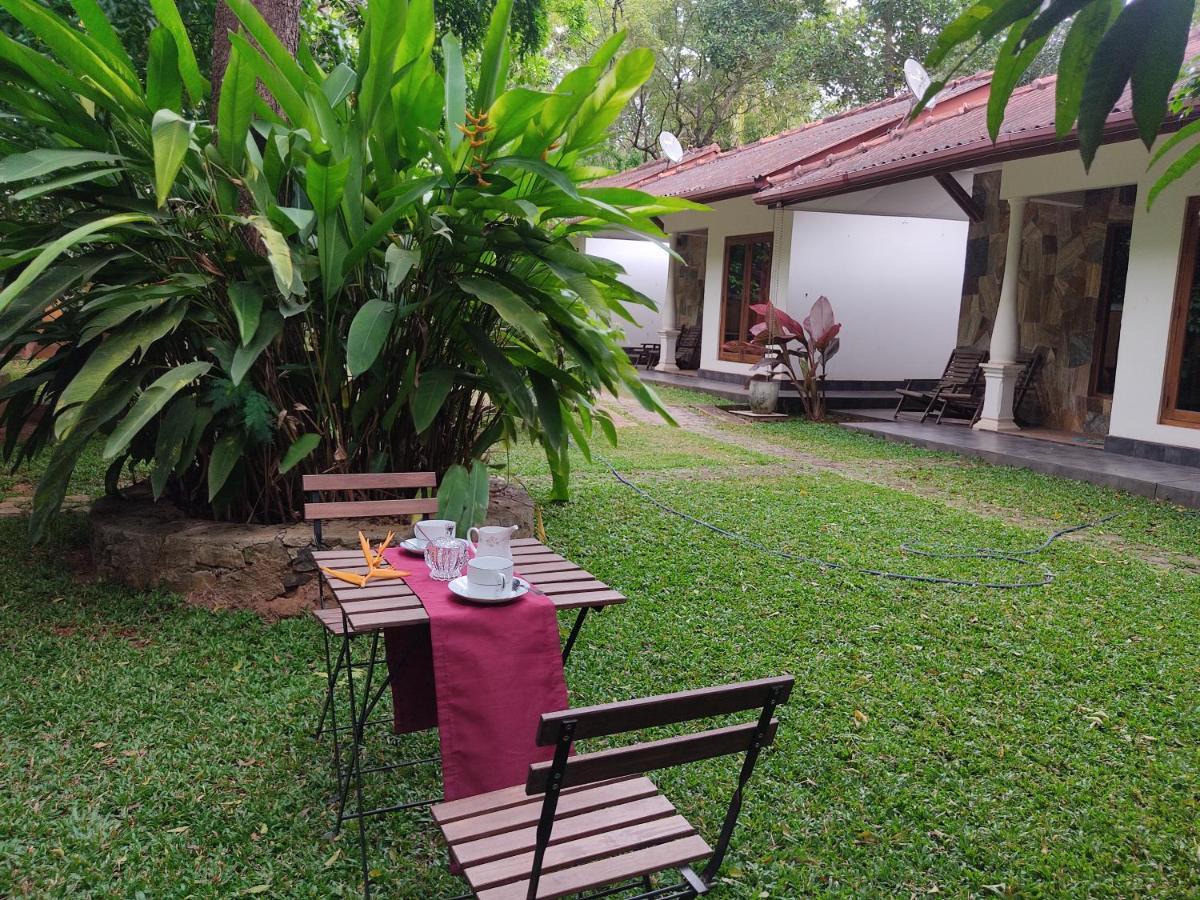 The Calm Cabana Hotell Dambulla Eksteriør bilde