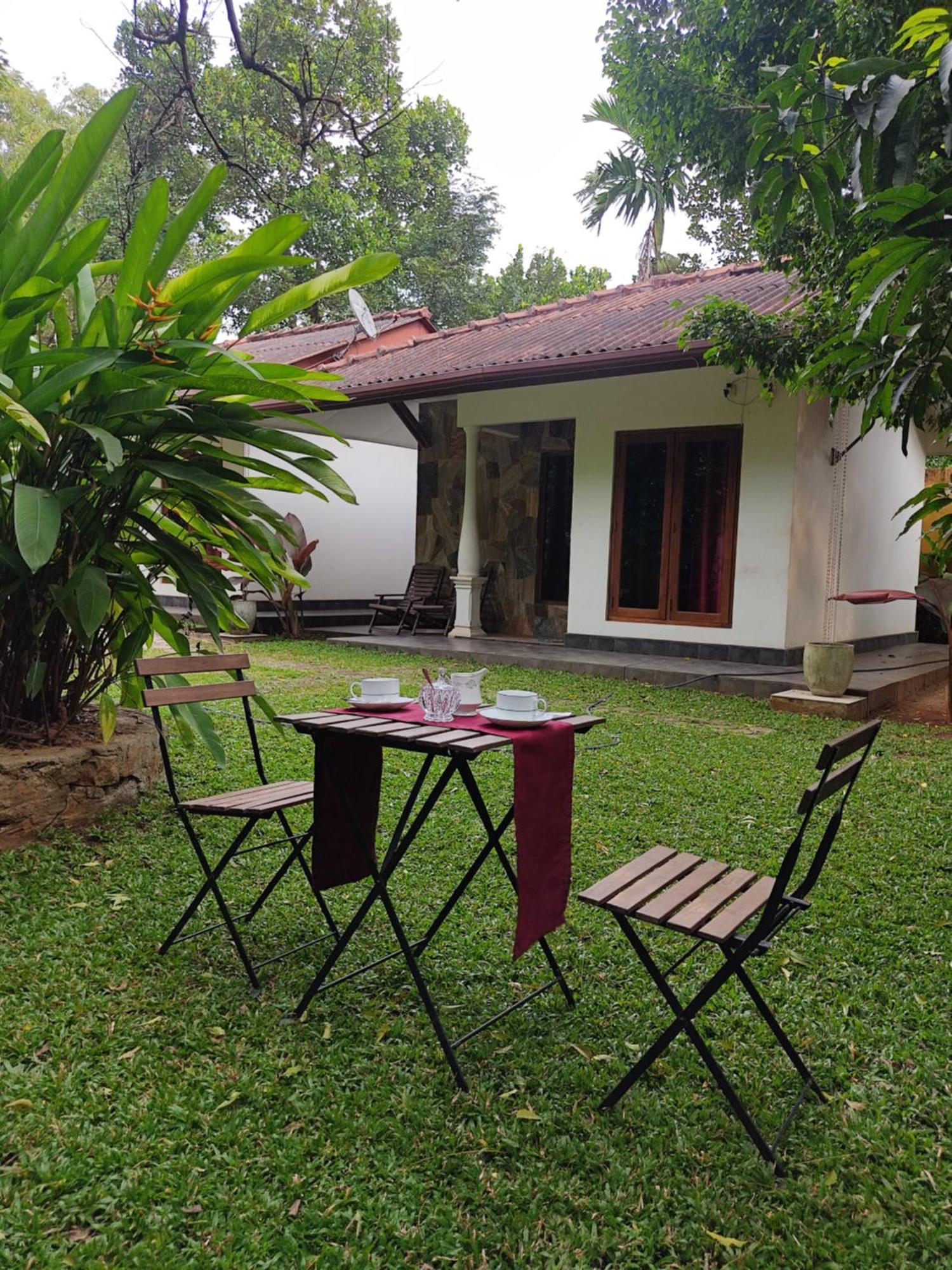 The Calm Cabana Hotell Dambulla Rom bilde